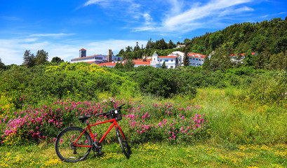 Red bike pictured on Mackinac Island with the Grand Hotel in the background.